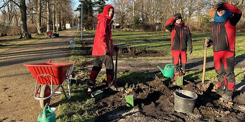 Die drei Freiwilligen Gabriel, Ricardo und Dean stehen mit Beet mit Spaten, Gießkanne und Schubkarre im Beet und schauen in die Kamera