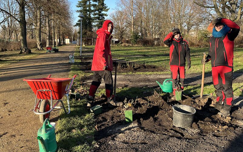 Die drei Freiwilligen Gabriel, Ricardo und Dean stehen mit Beet mit Spaten, Gießkanne und Schubkarre im Beet und schauen in die Kamera