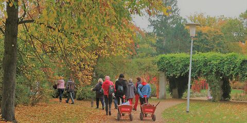 Gruppenfreiwilligenarbeit im herbstlichen Garten 