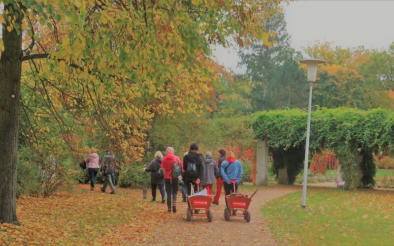 Gruppenfreiwilligenarbeit im herbstlichen Garten 