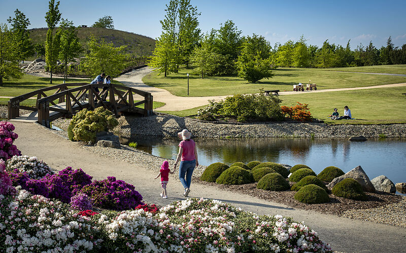 Auf dem Foto ist eine Landschaft vom Findlingspark abgebildet. Zu sehen ist ein Teich, eine Holzbrücke, Familien beim Spaziergang und viele Rhododendrons in weißer und lillaner Farbe im Vordergrund.. 