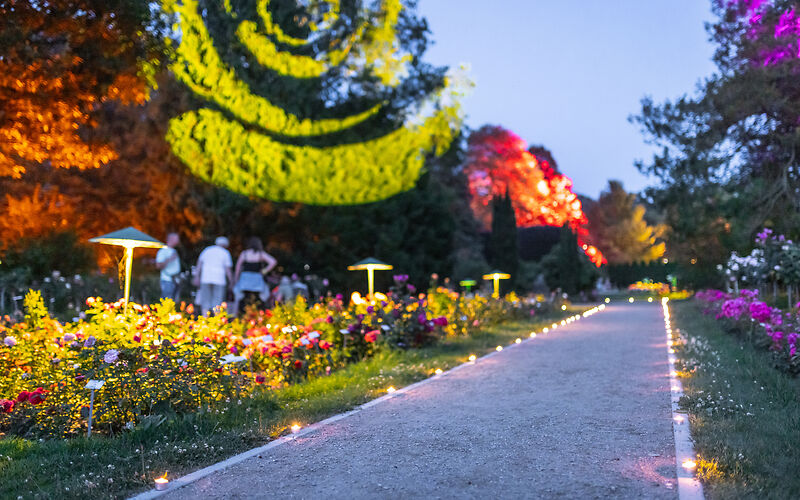 Nacht der tausend Lichter im Rosenpark während der Rosengartenfesttage 2024