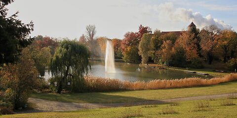 Eine herbstliche Aufnahme zeigt den Schwanenteich, umgeben von farbenfrohen Bäumen. Im Hintergrund erhebt sich das Schloss Spremberg, das die idyllische Szenerie perfekt ergänzt.