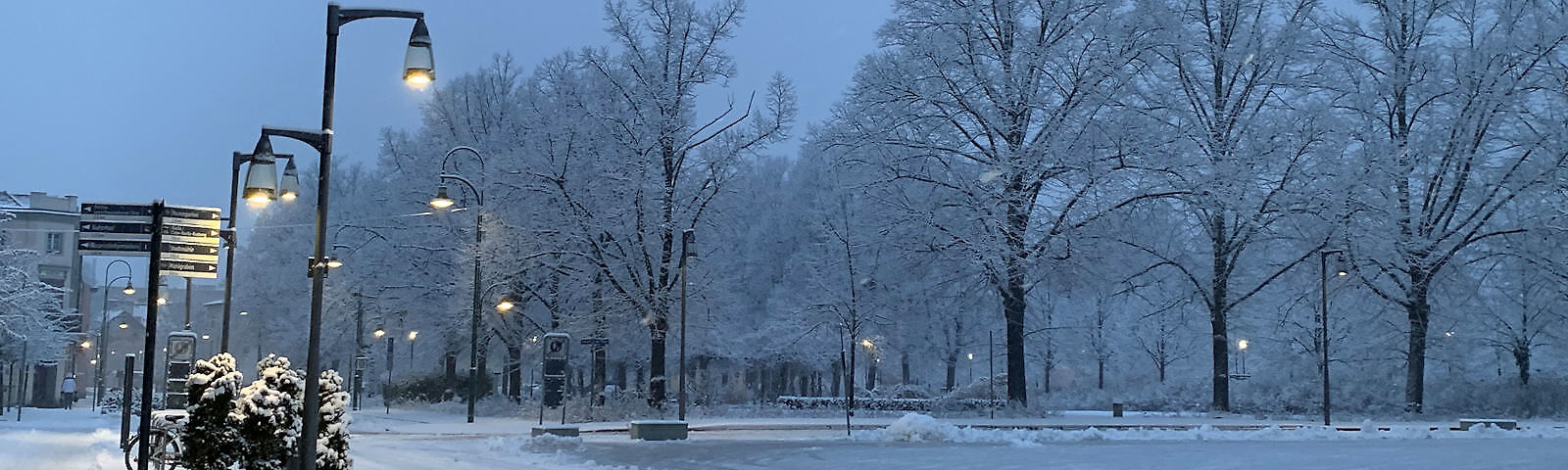 Blick auf den verschneiten Lindenplatz, es liegt eine weiße Schneedecke auf dem Boden, die Äste der Bäume sind mit Schnee bedeckt