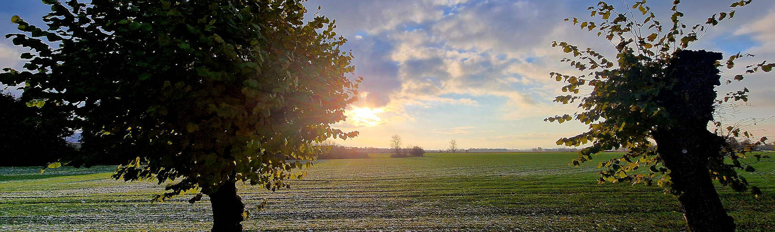 Blick auf ein grünes Feld bei Sonnenaufgang, der Himmel ist teilweise mit weißen Wolken bedeckt. An den Seiten stehen zwei Bäume vorn im Bild, am Horizont ist kleine eine Baumreinhe zu erkennen.