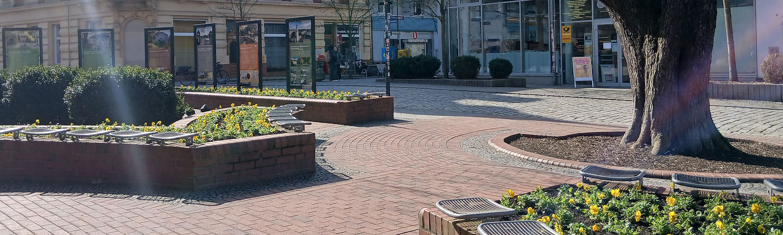Parkanlage mit gepflastertem Rundweg, Baum und mehreren rechteckigen Blumenbeeten mit gelben Blumen