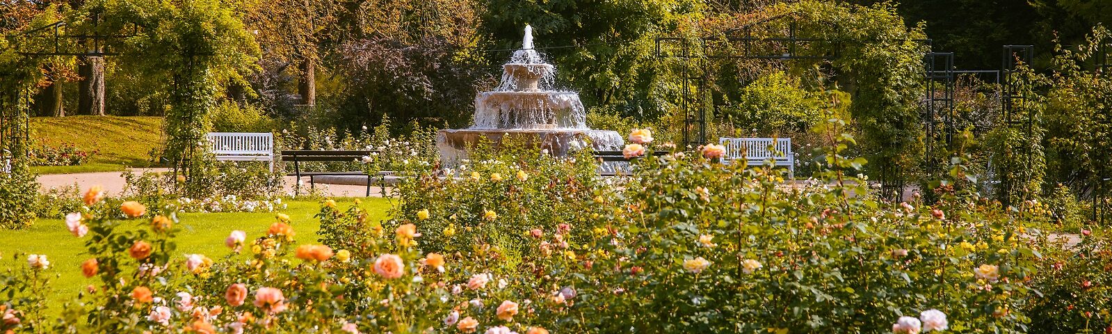 sprudelnder Kaskadenbrunnen im Hintegrund im Vordergrund blühendes Rosenbeet