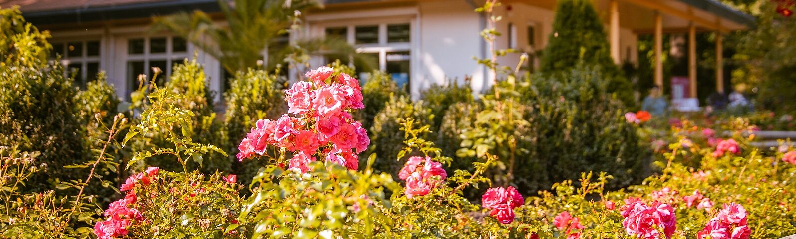 Besucherzentrum in Rosen